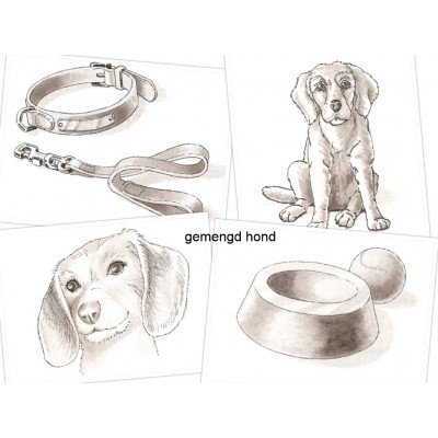 gemengd hond zwart wit